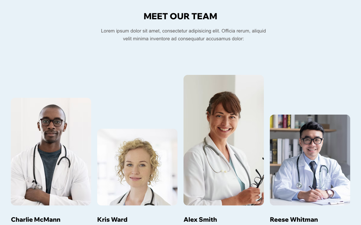 MEET OUR TEAM