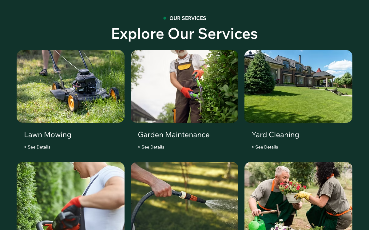 OUR SERVICES