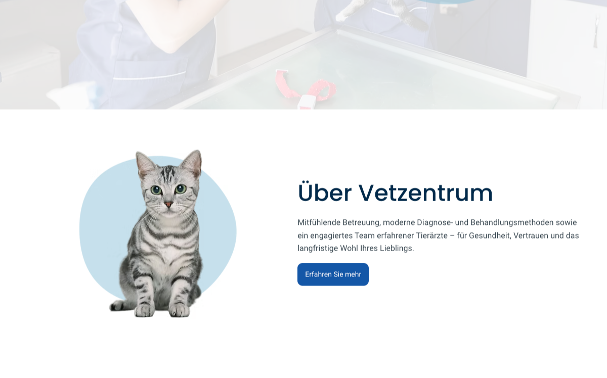 About Us