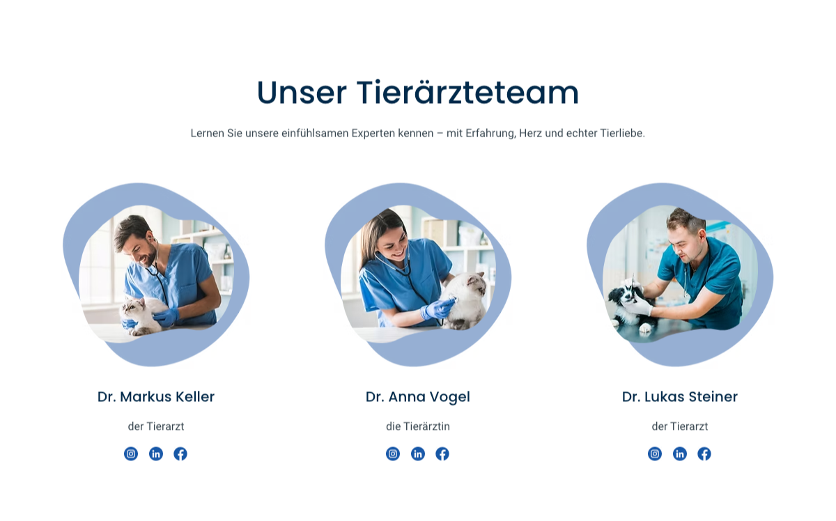 Our Team