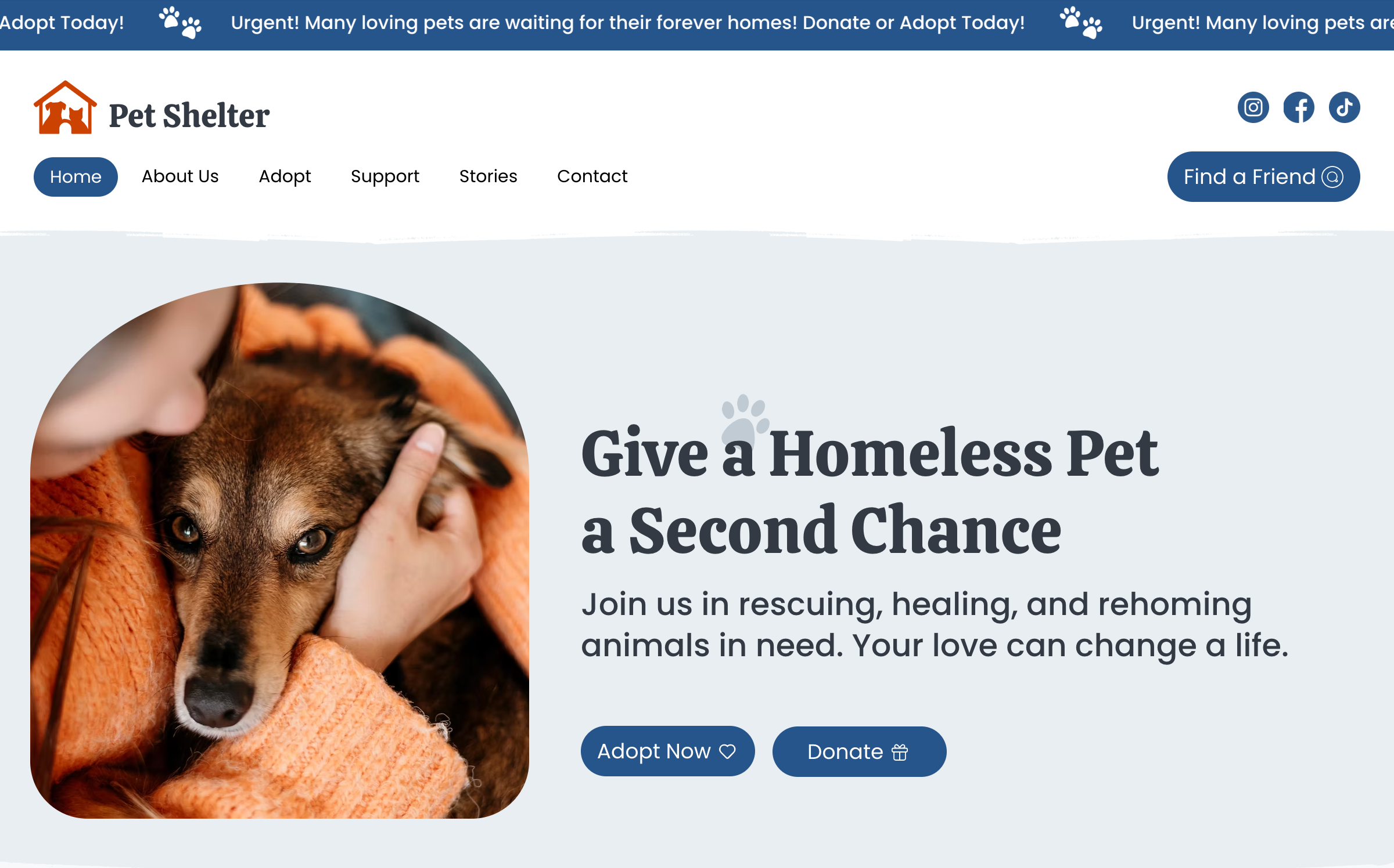 Animal Shelter Home