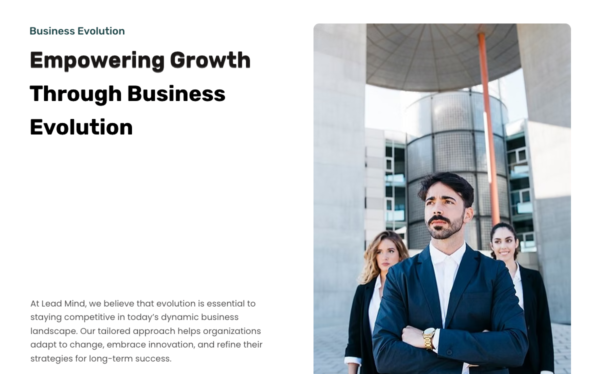 Business Evolution