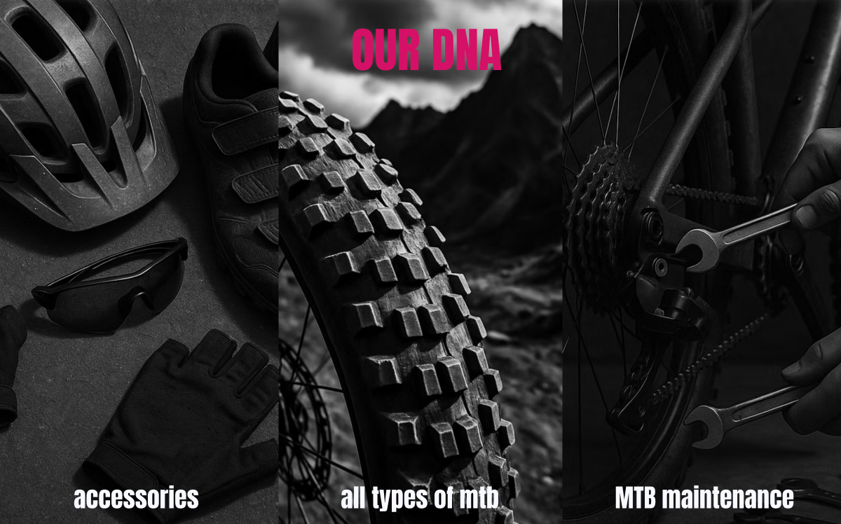 Our Services