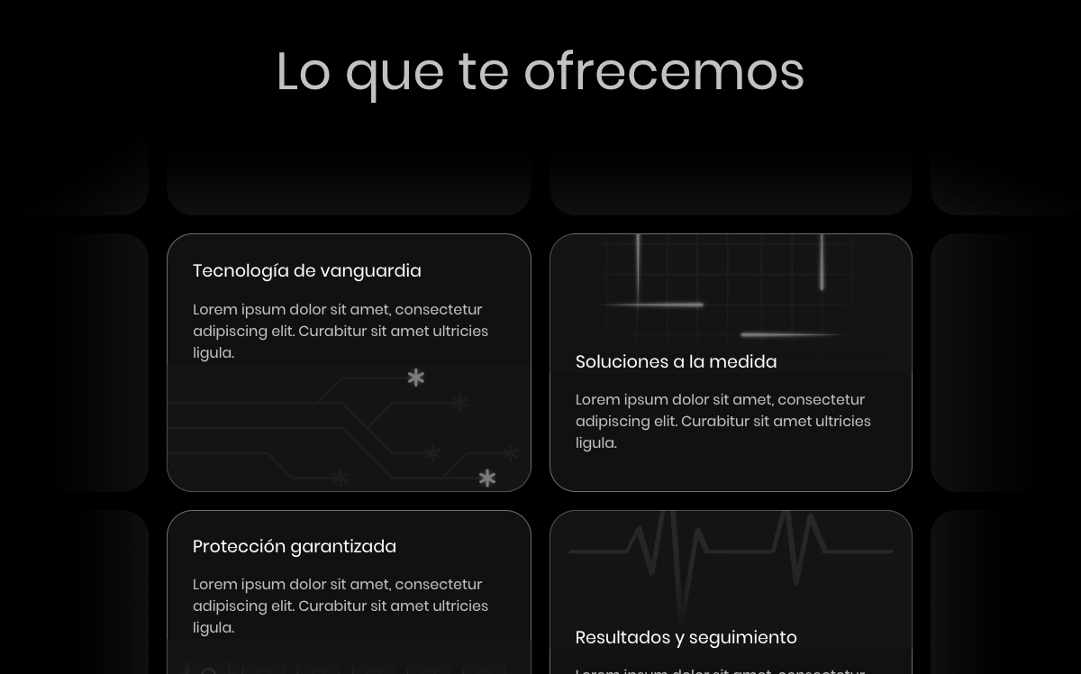What we offer you