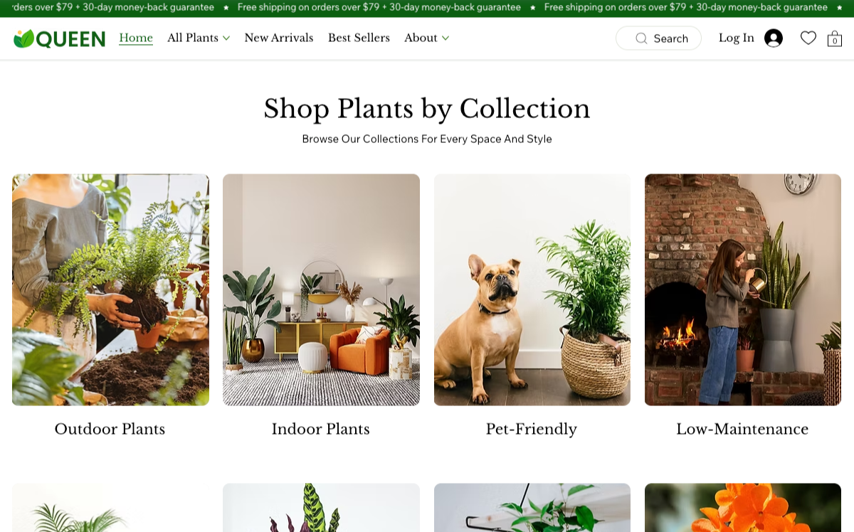 Plants by Collection