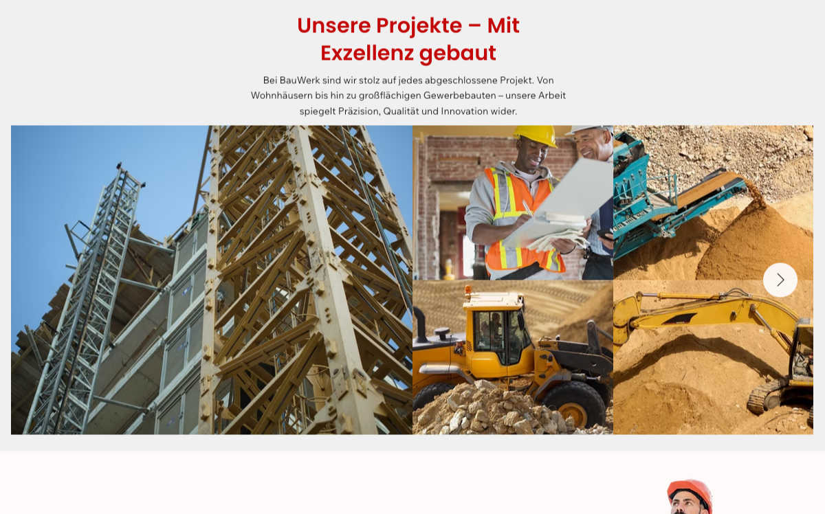 Our project